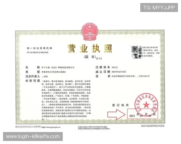 凯发开户技巧揭秘，助你快速掌握注册流程中的关键环节