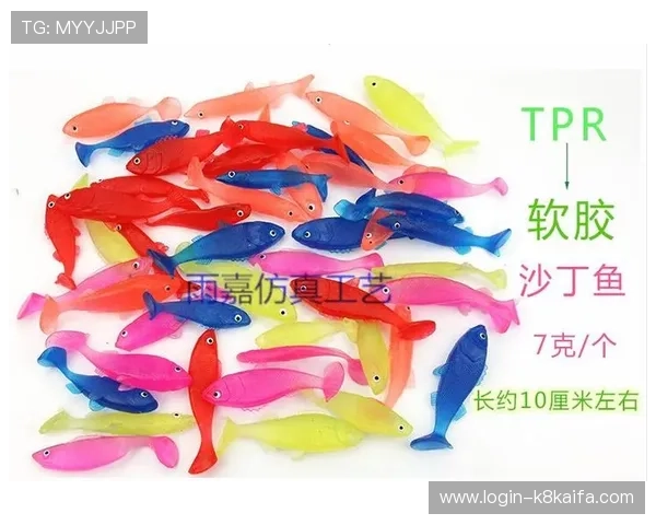 K8扑鱼登陆遇到常见问题怎么办快速解决登录难题指南