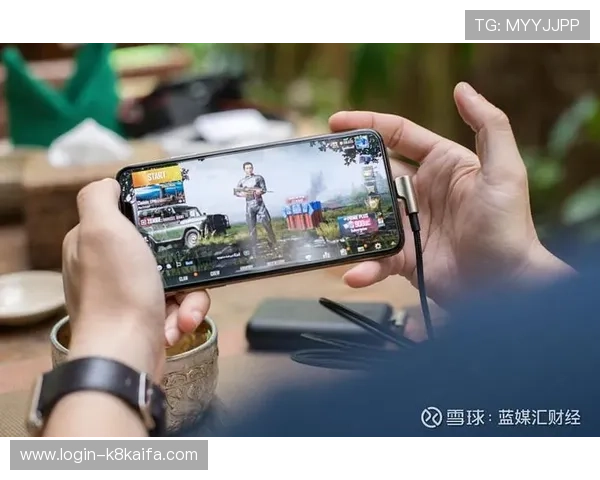 K8凯发官网下载官方平台,保障账号安全与游戏公平性 K8凯发官网下载官方平台,保障账号安全与游戏公平性